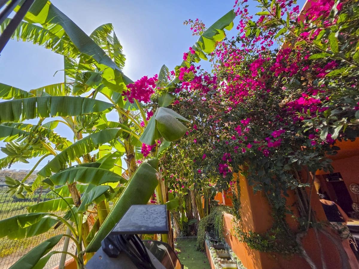 3 slaapkamer Appartement te koop in La Duquesa / Puerto de la Duquesa met zwembad garage - € 499.000 (Ref: 9580304)