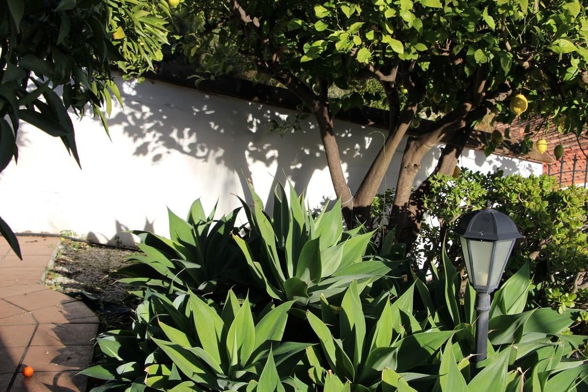 2 chambre Villa/Maison Semi-Mitoyenne à vendre à Coin avec piscine garage - 459 000 € (Ref: 9590414)