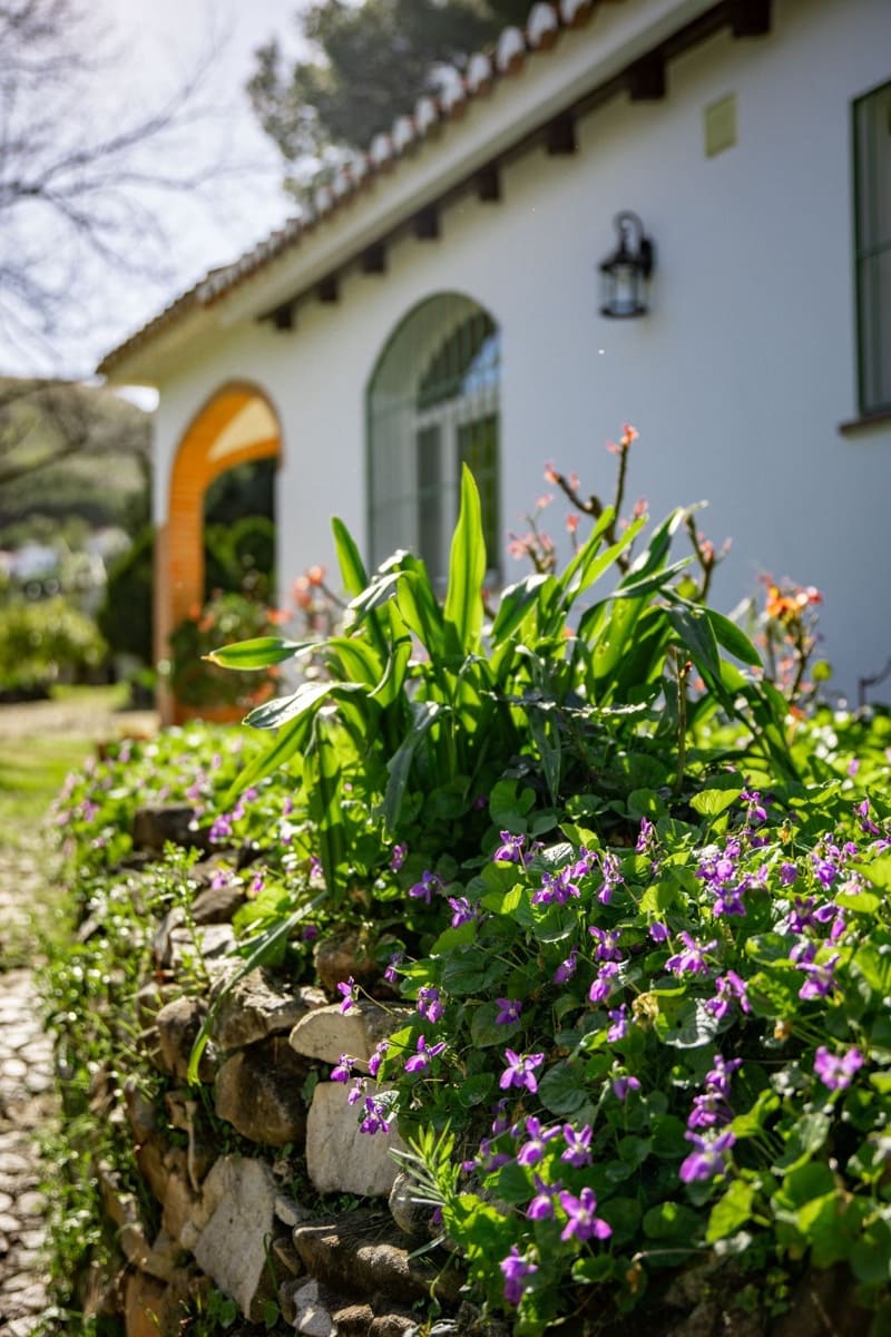 Finca/Casa Rural de 5 habitaciones en Alhaurín el Grande en venta con piscina garaje - 795.000 € (Ref: 9664066)