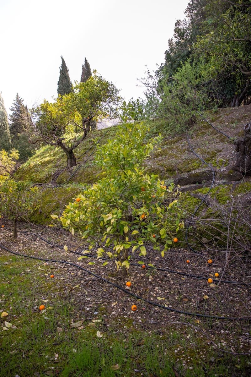 Finca/Casa Rural de 5 habitaciones en Alhaurín el Grande en venta con piscina garaje - 795.000 € (Ref: 9664066)