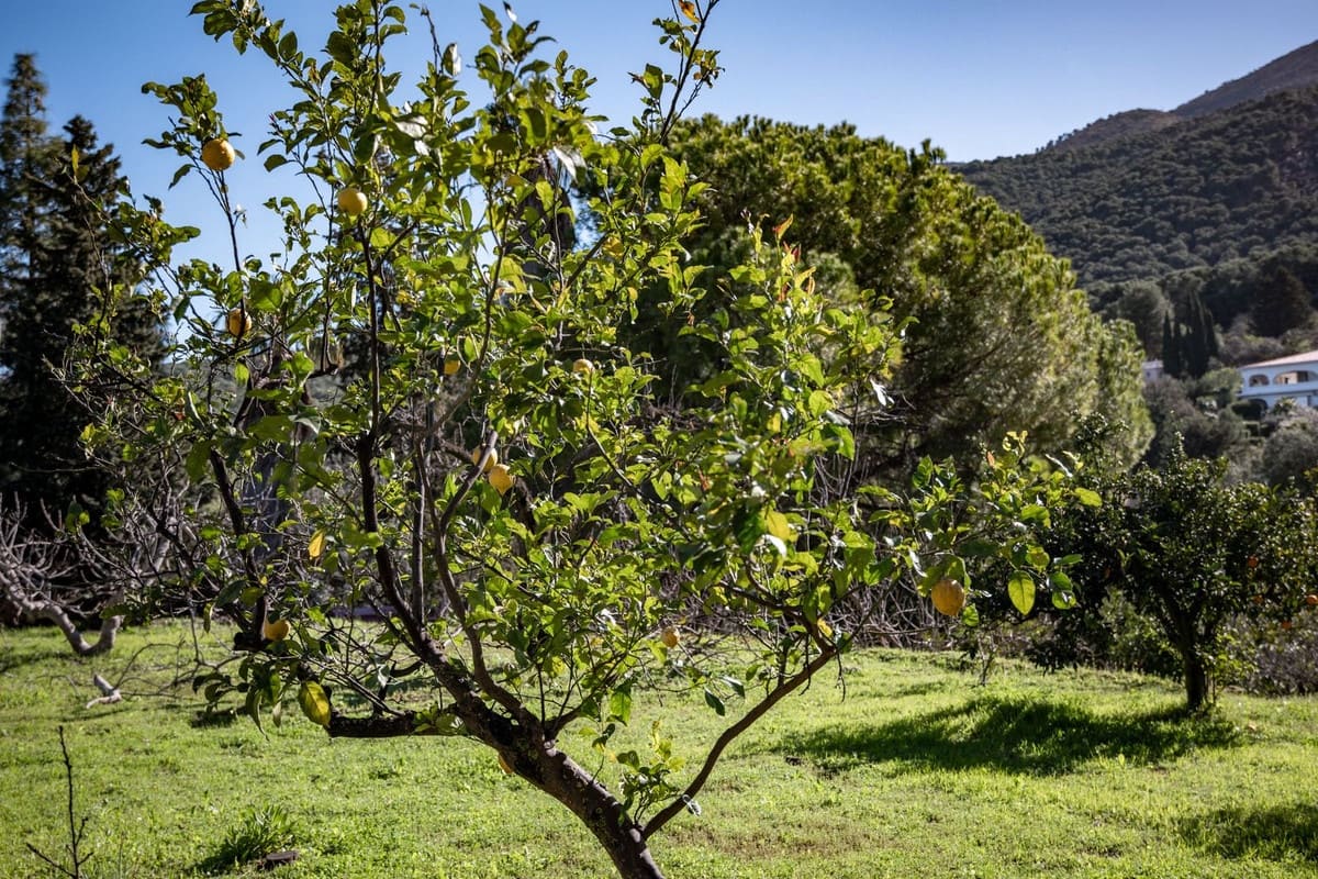 Finca/Casa Rural de 5 habitaciones en Alhaurín el Grande en venta con piscina garaje - 795.000 € (Ref: 9664066)