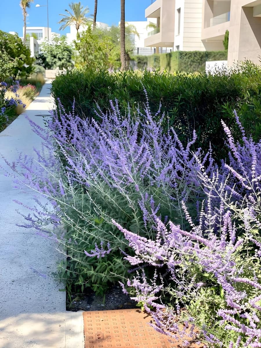 2 soveværelse Lejlighed til salg i Cancelada med swimmingpool garage - € 495.000 (Ref: 9691373)