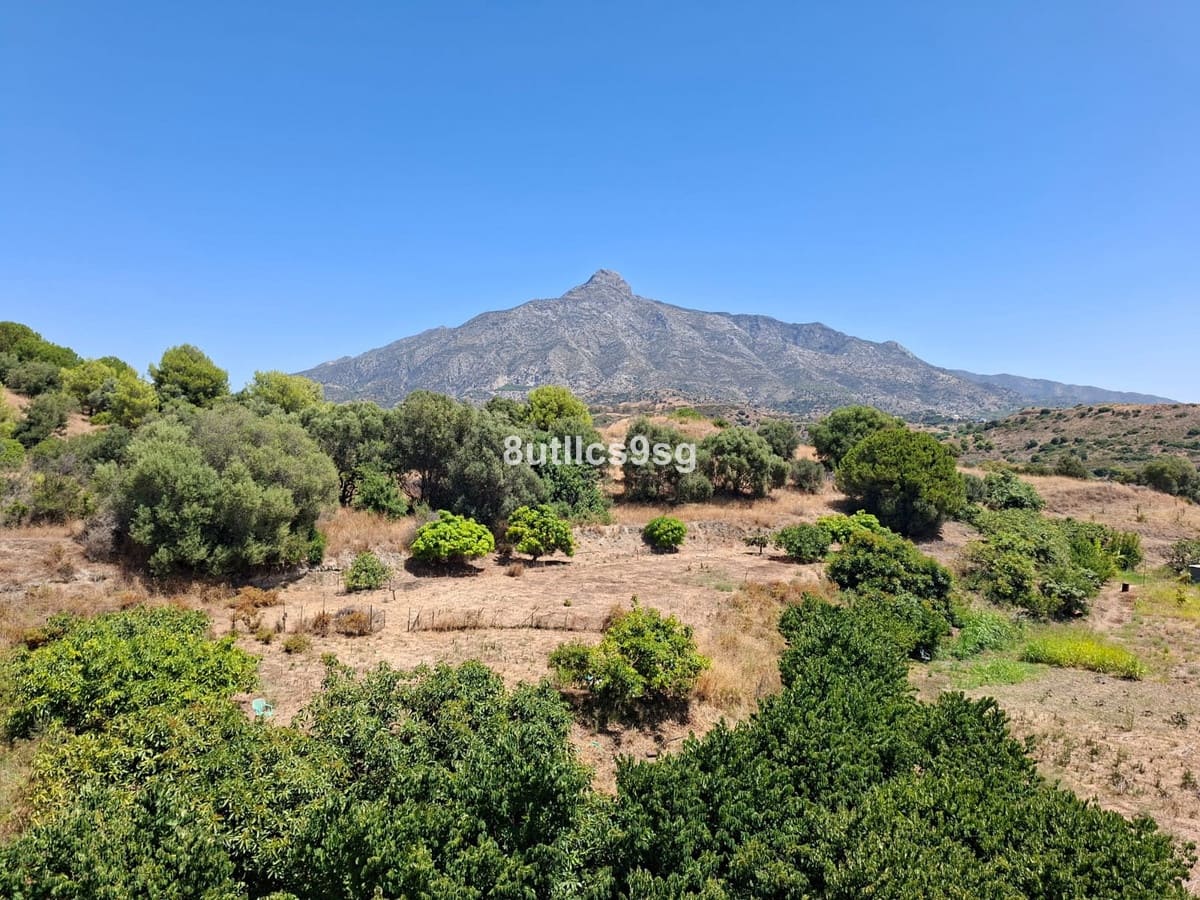 2 camera da letto Appartamento in vendita in Aloha Golf con piscina garage - 1.192.500 € (Rif: 9694154)