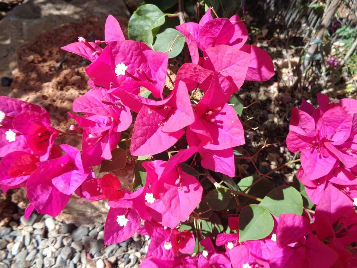 4 bedroom Villa for sale in Alhaurin de la Torre with pool garage - € 1,750,000 (Ref: 9694164)