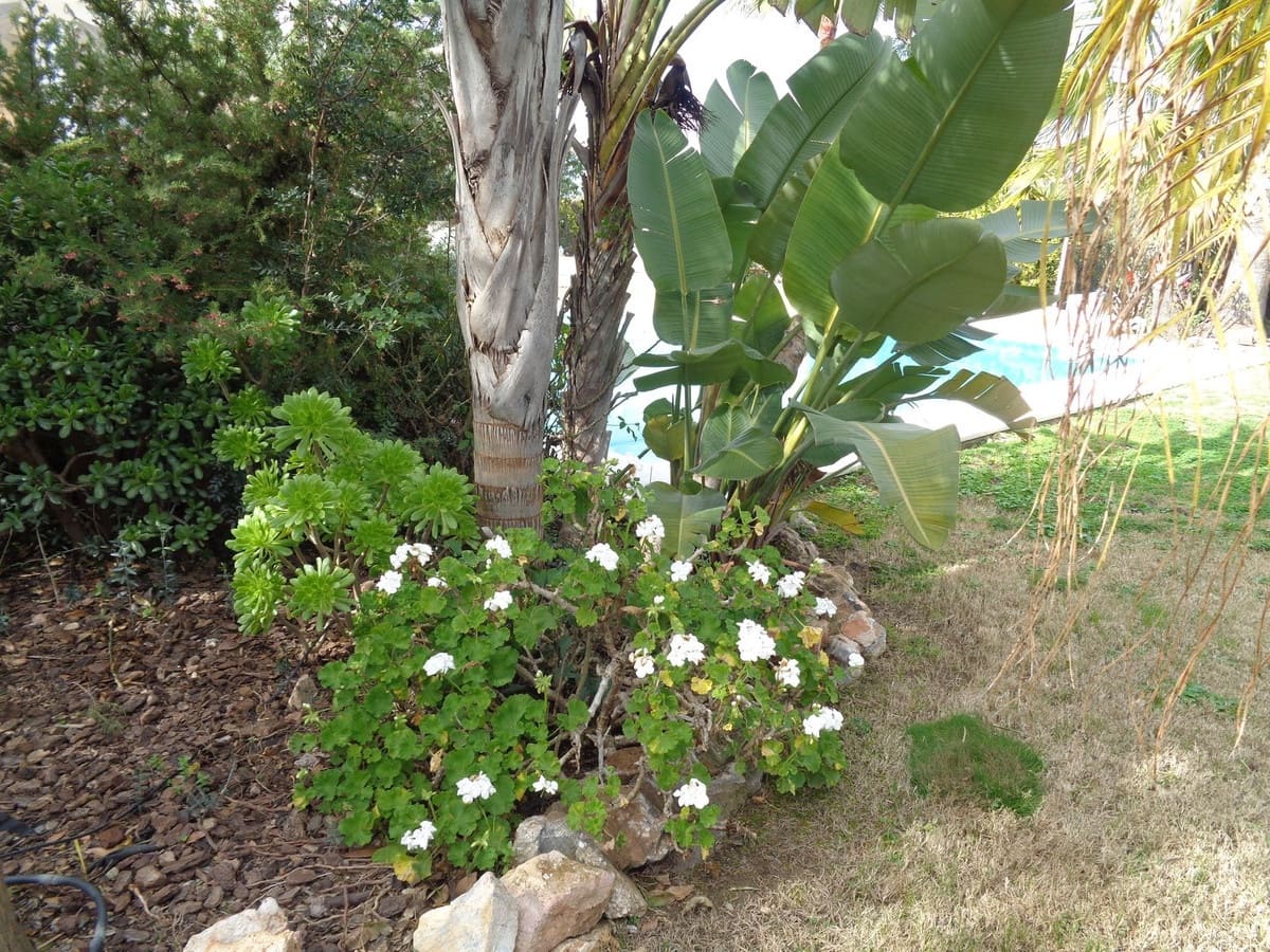 4 bedroom Villa for sale in Alhaurin de la Torre with pool garage - € 1,750,000 (Ref: 9694164)