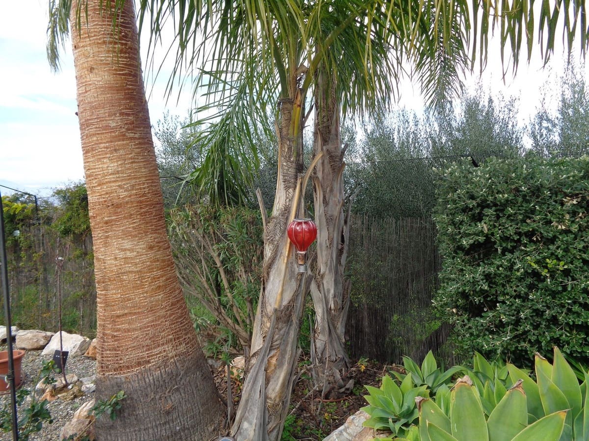 4 bedroom Villa for sale in Alhaurin de la Torre with pool garage - € 1,750,000 (Ref: 9694164)