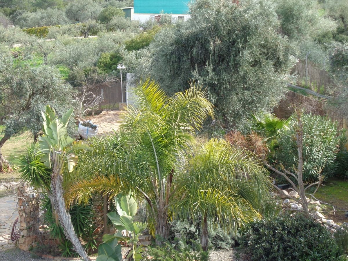 4 bedroom Villa for sale in Alhaurin de la Torre with pool garage - € 1,750,000 (Ref: 9694164)