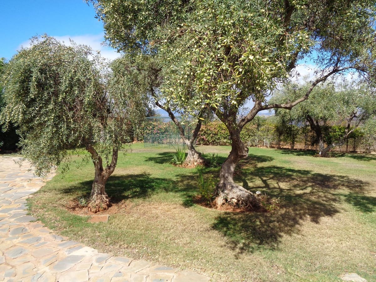 4 bedroom Villa for sale in Alhaurin de la Torre with pool garage - € 1,750,000 (Ref: 9694164)