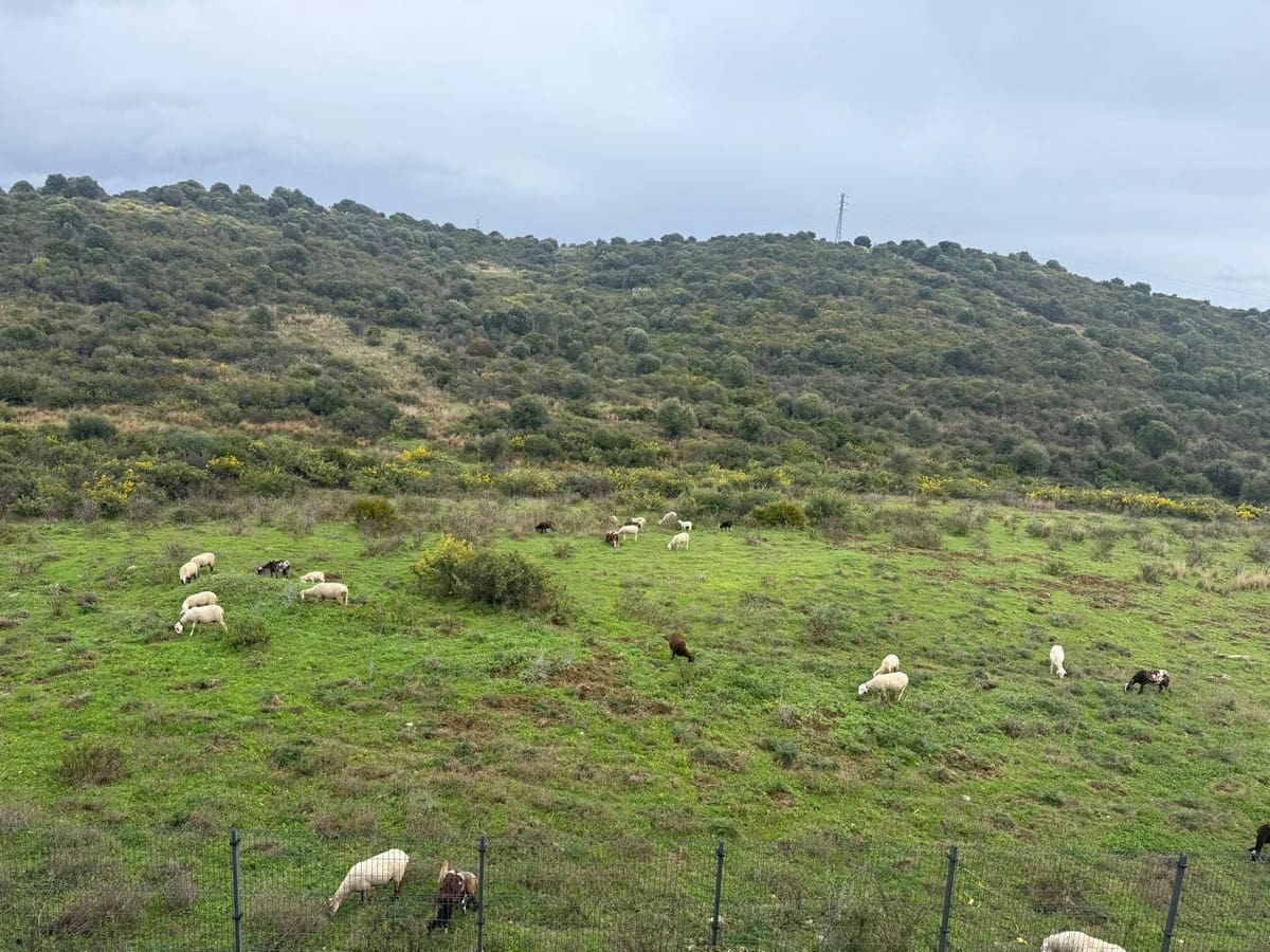 3 makuuhuone Kattohuoneisto myytävänä paikassa Estepona mukana uima-altaan 
autotalli - 575 000 € (Ref: 9769890)