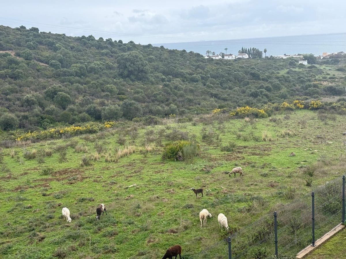 3 makuuhuone Kattohuoneisto myytävänä paikassa Estepona mukana uima-altaan 
autotalli - 575 000 € (Ref: 9769890)