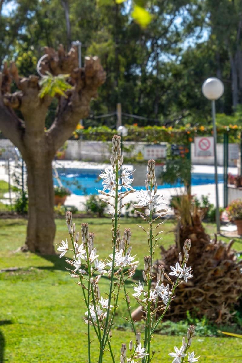 2 soverom Leilighet til salgs i Fuengirola med svømmebasseng garasje - € 290 000 (Ref: 9776973)