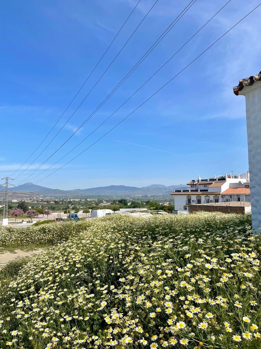 4 Zimmer Haus zu verkaufen in Alhaurin el Grande mit Garage - 320.000 € (Ref: 9806893)