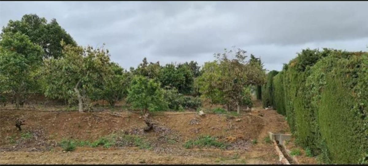 3 chambre Finca/Maison de Campagne à vendre à Campo Mijas - 715 000 € (Ref: 9976259)