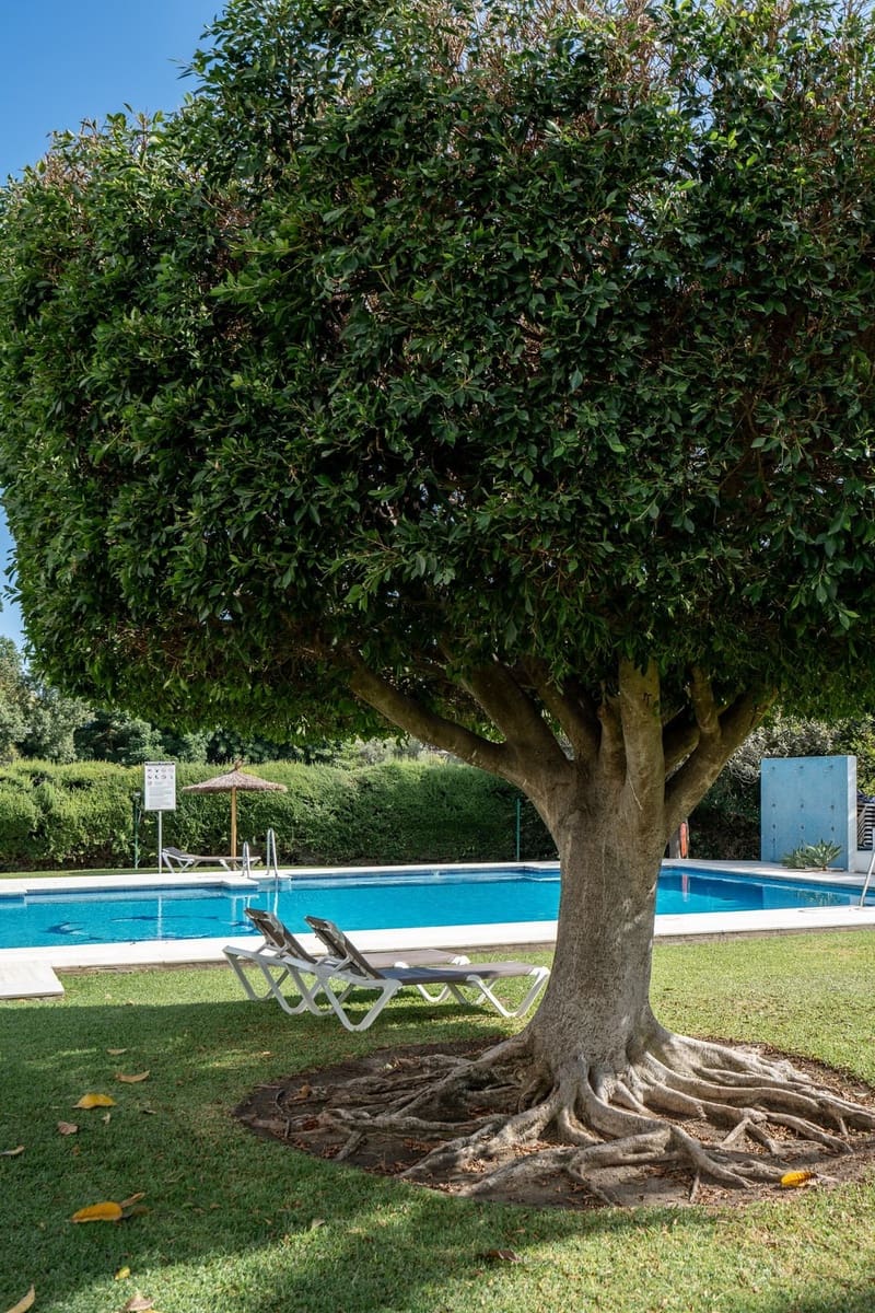 2 soveværelse Lejlighed til salg i Guadalmina med swimmingpool - € 695.000 (Ref: 9976308)