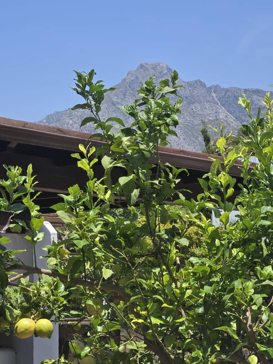 5 Zimmer Haus zu verkaufen in Golden Mile mit Pool - 1.695.000 € (Ref: 9976566)