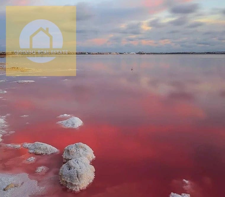 2 sovrum Bungalow till salu i Torrevieja med pool garage - 305 000 € (Ref: 9649884)