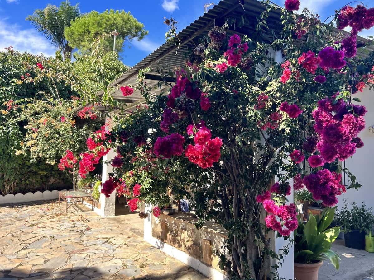 3 soveværelse Finca/Landehus til salg i Estepona - € 525.000 (Ref: 9183625)