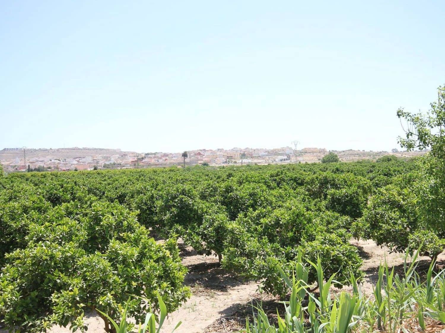 5 Zimmer Villa zu verkaufen in Campoamor mit Pool Garage - 3.600.000 € (Ref: 8149501)