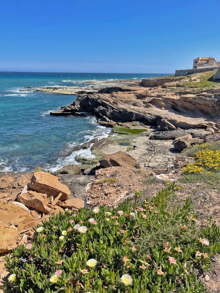 3 soverom Villa til salgs i Torrevieja med svømmebasseng - € 690 000 (Ref: 8251631)