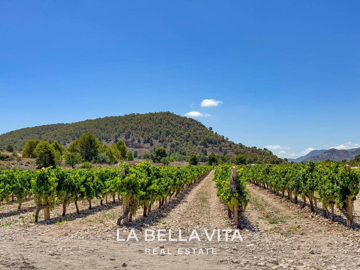 3 camera da letto Villa in vendita in La Canalosa con piscina - 352.500 € (Rif: 8450074)