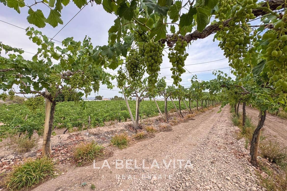 3 soveværelse Finca/Landehus til salg i Aspe med swimmingpool - € 342.000 (Ref: 9189187)