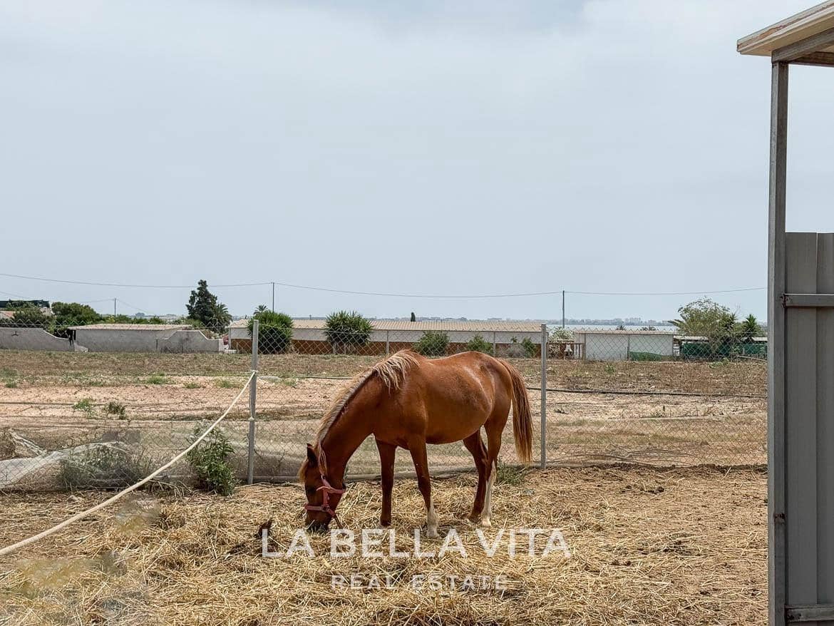 4 soverom Villa til salgs i Rojales med svømmebasseng garasje - € 1 300 000 (Ref: 9335201)