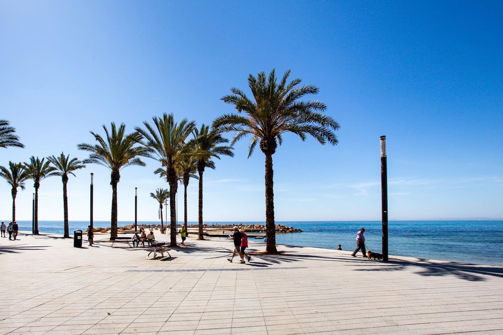 2 soveværelse Lejlighed til leje i Torrevieja - € 780 (Ref: 10009275)
