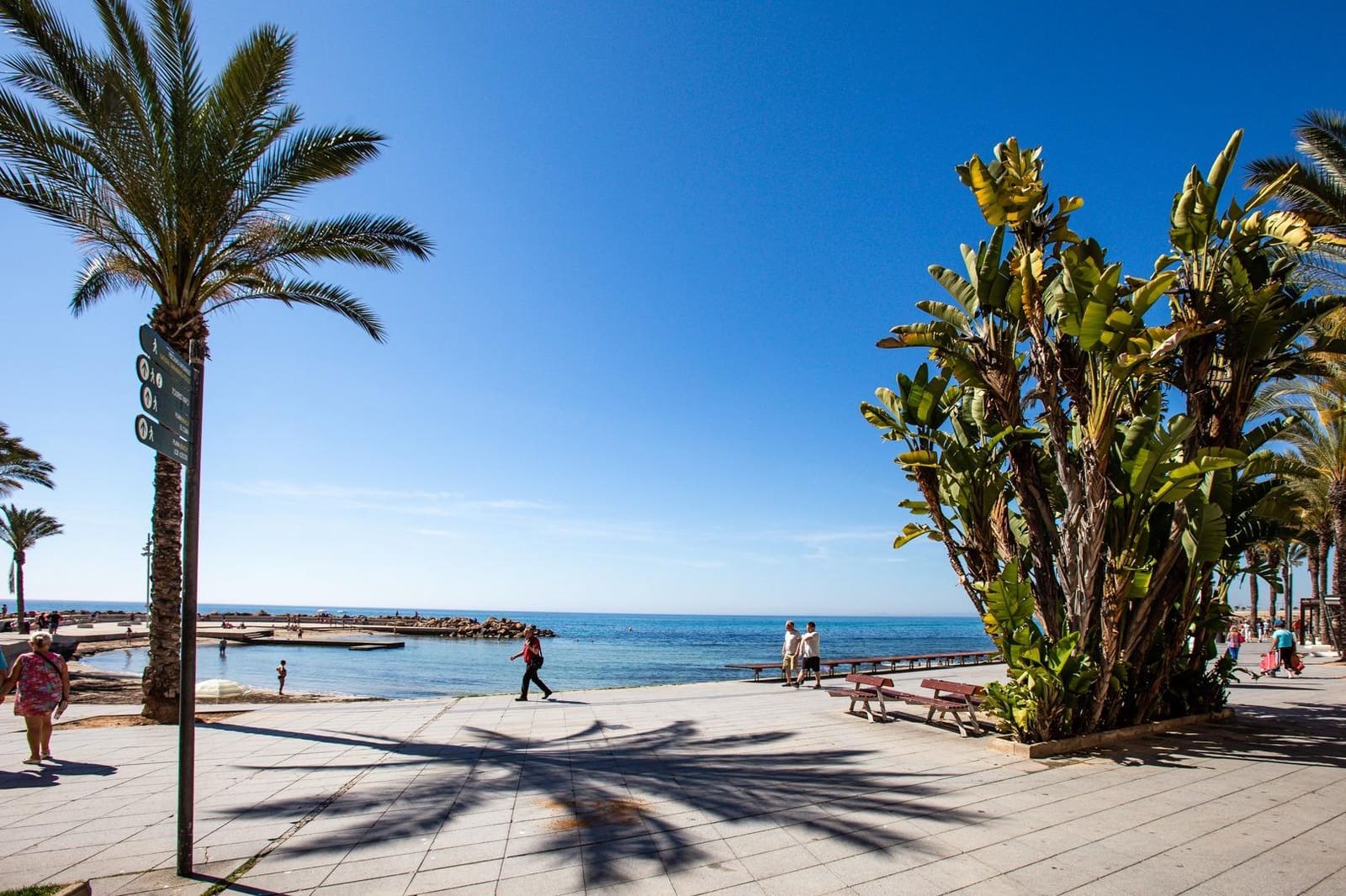 2 soveværelse Lejlighed til leje i Torrevieja - € 780 (Ref: 10009275)