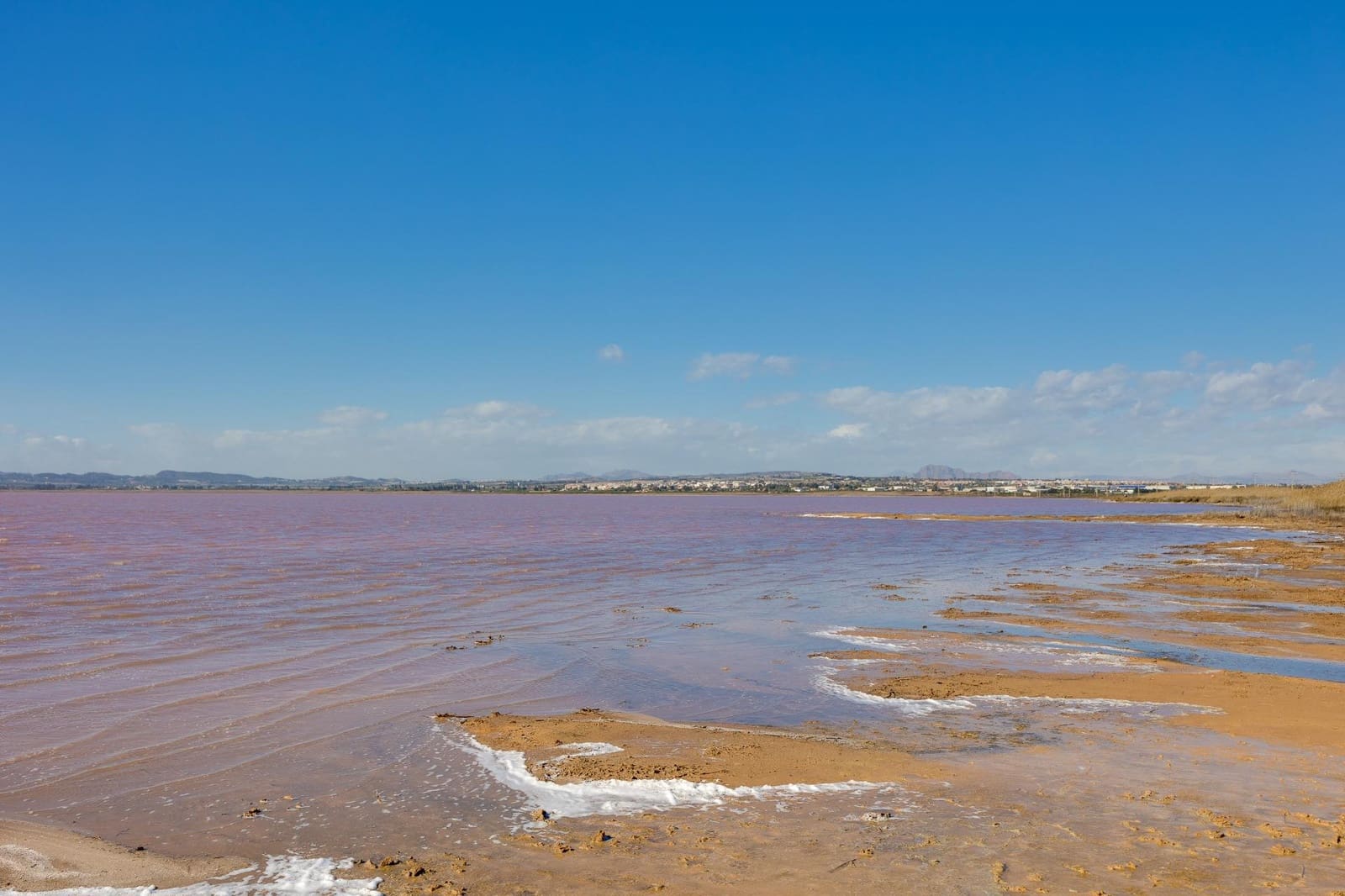 Adosado de 1 habitación en Torrevieja en venta - 119.999 € (Ref: 10032221)