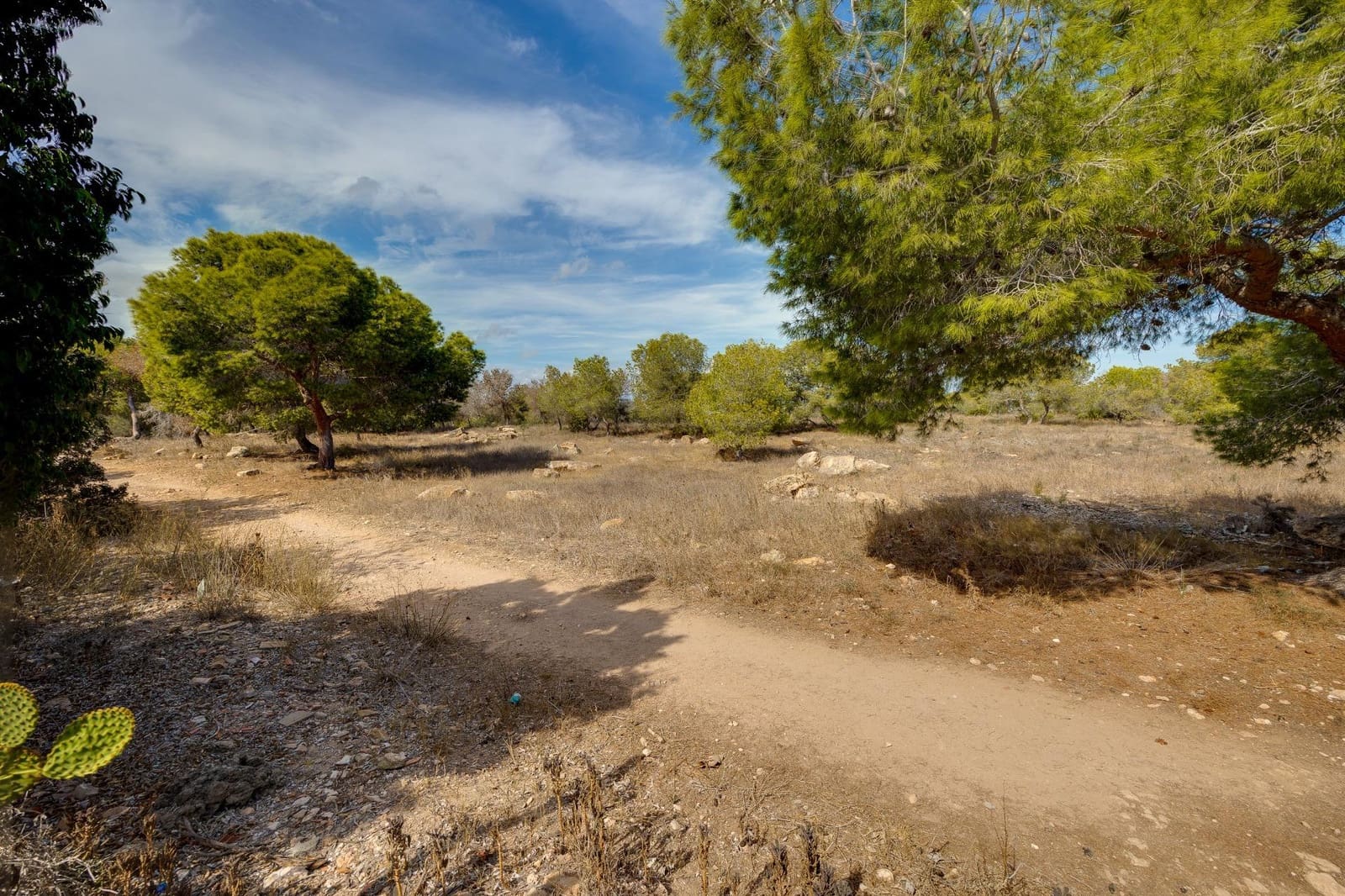 Adosado de 1 habitación en Torrevieja en venta - 119.999 € (Ref: 10032221)