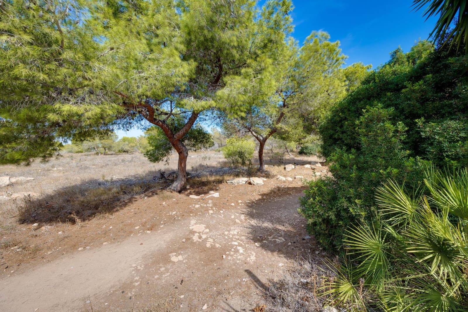 Adosado de 1 habitación en Torrevieja en venta - 119.999 € (Ref: 10032221)