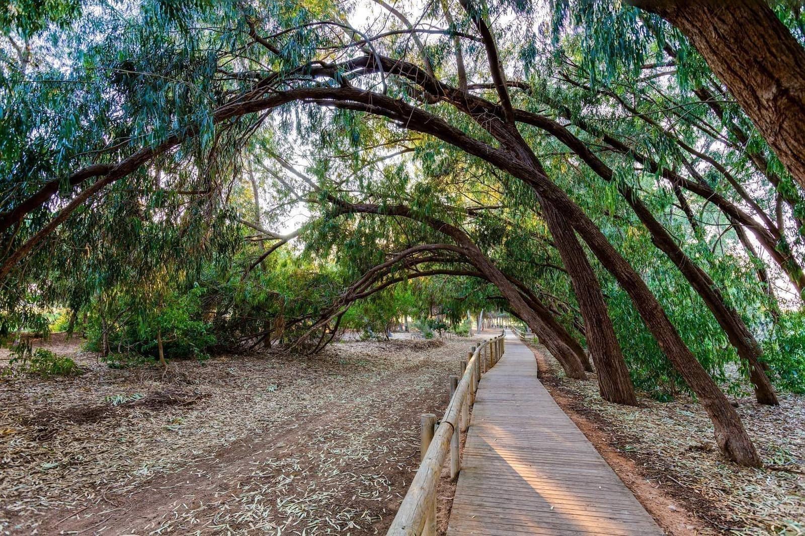 2 soveværelse Lejlighed til salg i La Mata med swimmingpool - € 169.000 (Ref: 8424968)