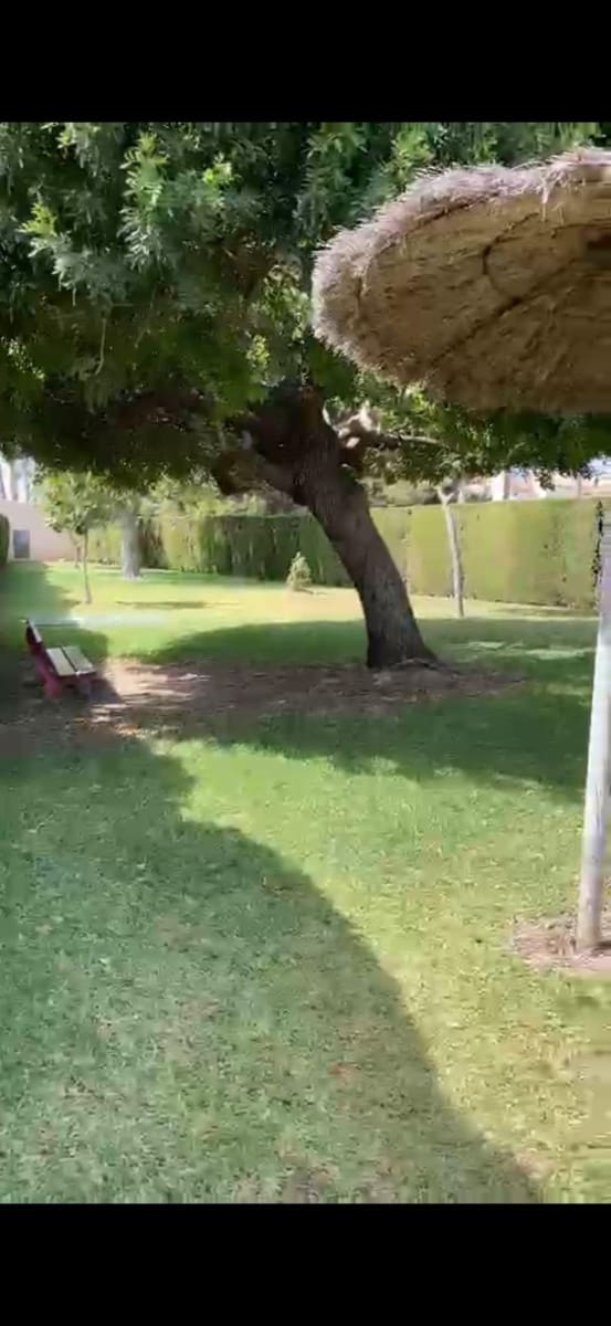 3 sypialnia Dom szeregowy na sprzedaż w El Limonar z basenem - 225 000 € (Ref: 8458054)