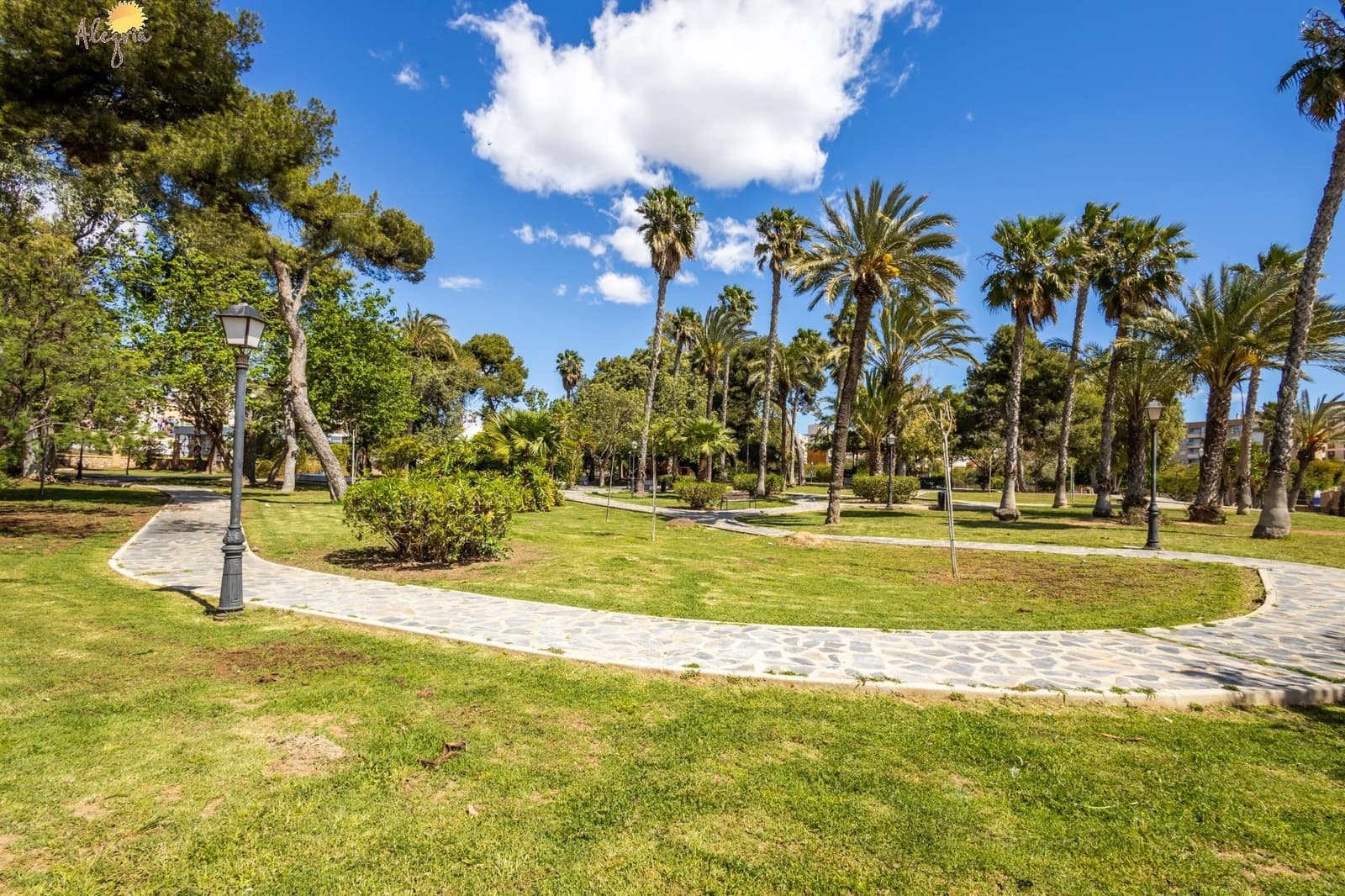 Apartamento de 3 habitaciones en Torrevieja en venta con garaje - 245.000 € (Ref: 8941318)