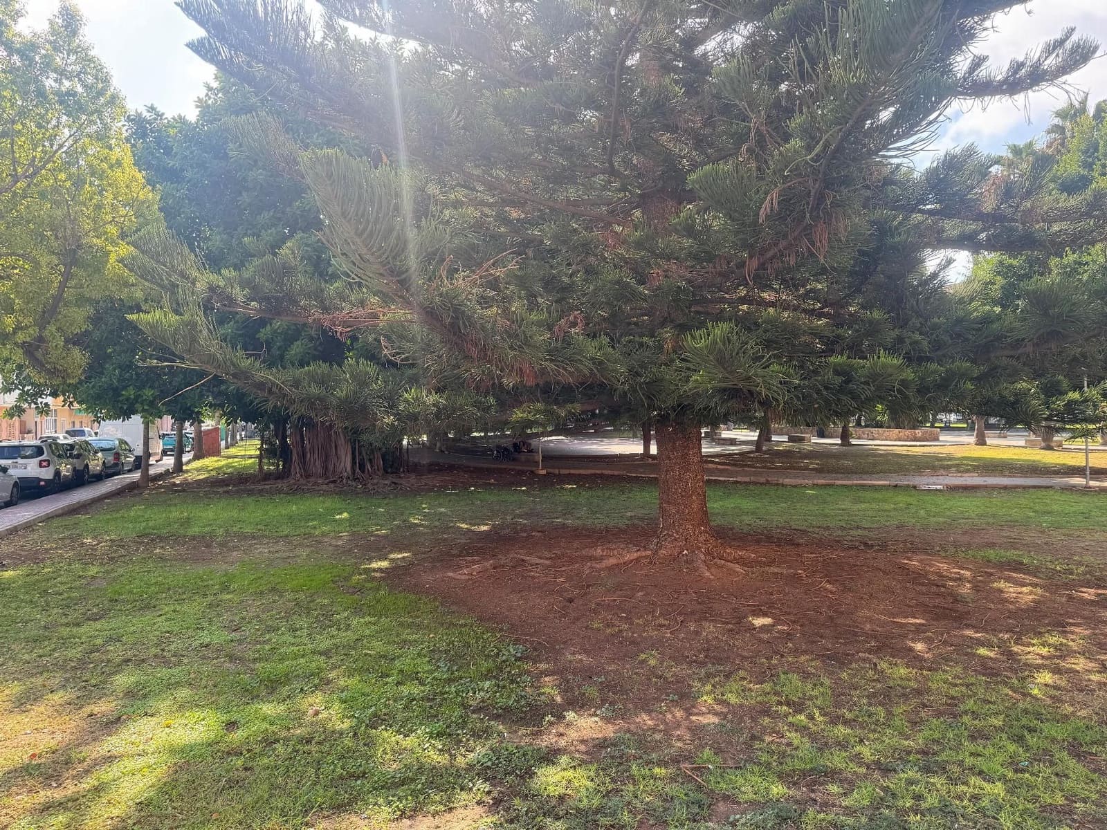 Apartamento de 3 habitaciones en Torrevieja en venta - 139.000 € (Ref: 9303748)