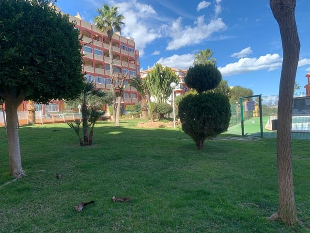 2 sypialnia Apartament na sprzedaż w Torreblanca, Torrevieja z basenem - 219 900 € (Ref: 9322612)