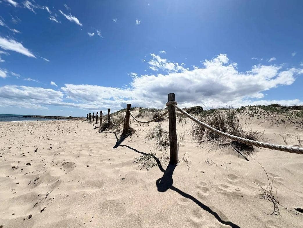 1 sypialnia Apartament na sprzedaż w La Mata z basenem - 139 900 € (Ref: 9342135)