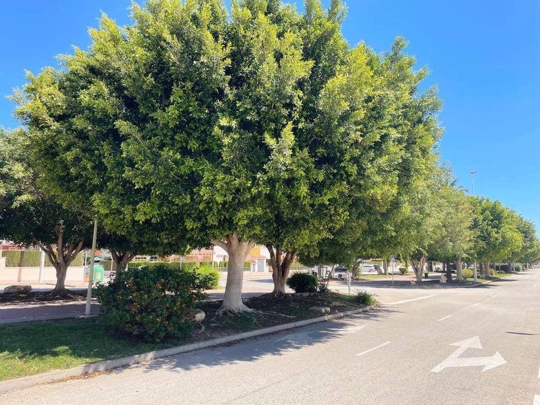 1 sovrum Bungalow till salu i Orihuela Costa - 160 000 € (Ref: 9557991)