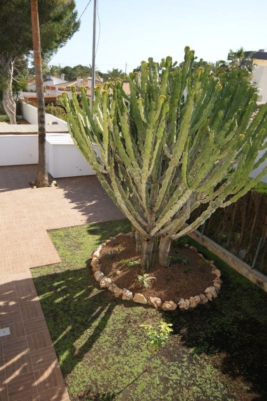 4 soverom Villa til salgs i Cabo Roig med svømmebasseng - € 910 000 (Ref: 9565430)