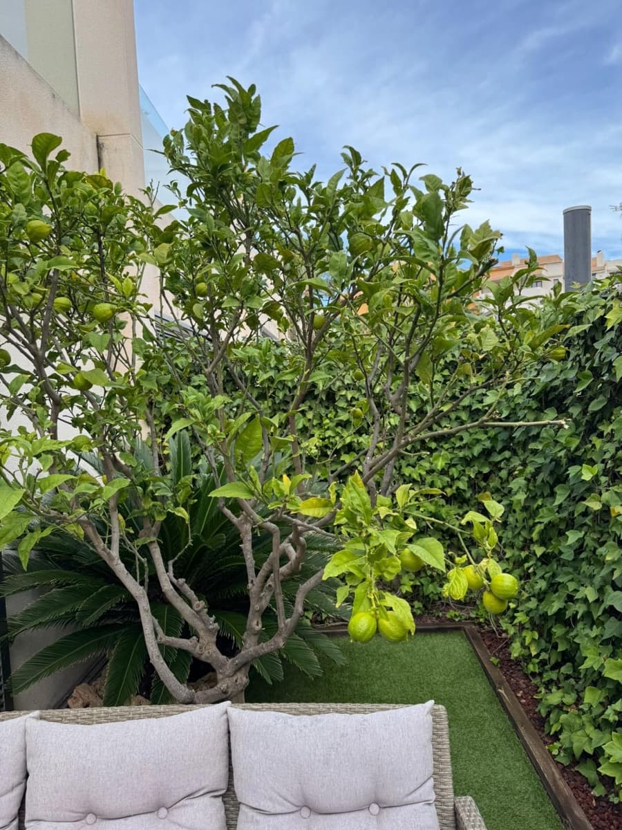 3 quarto Moradia em Banda para venda em Punta Prima com piscina - 379 000 € (Ref: 9596399)