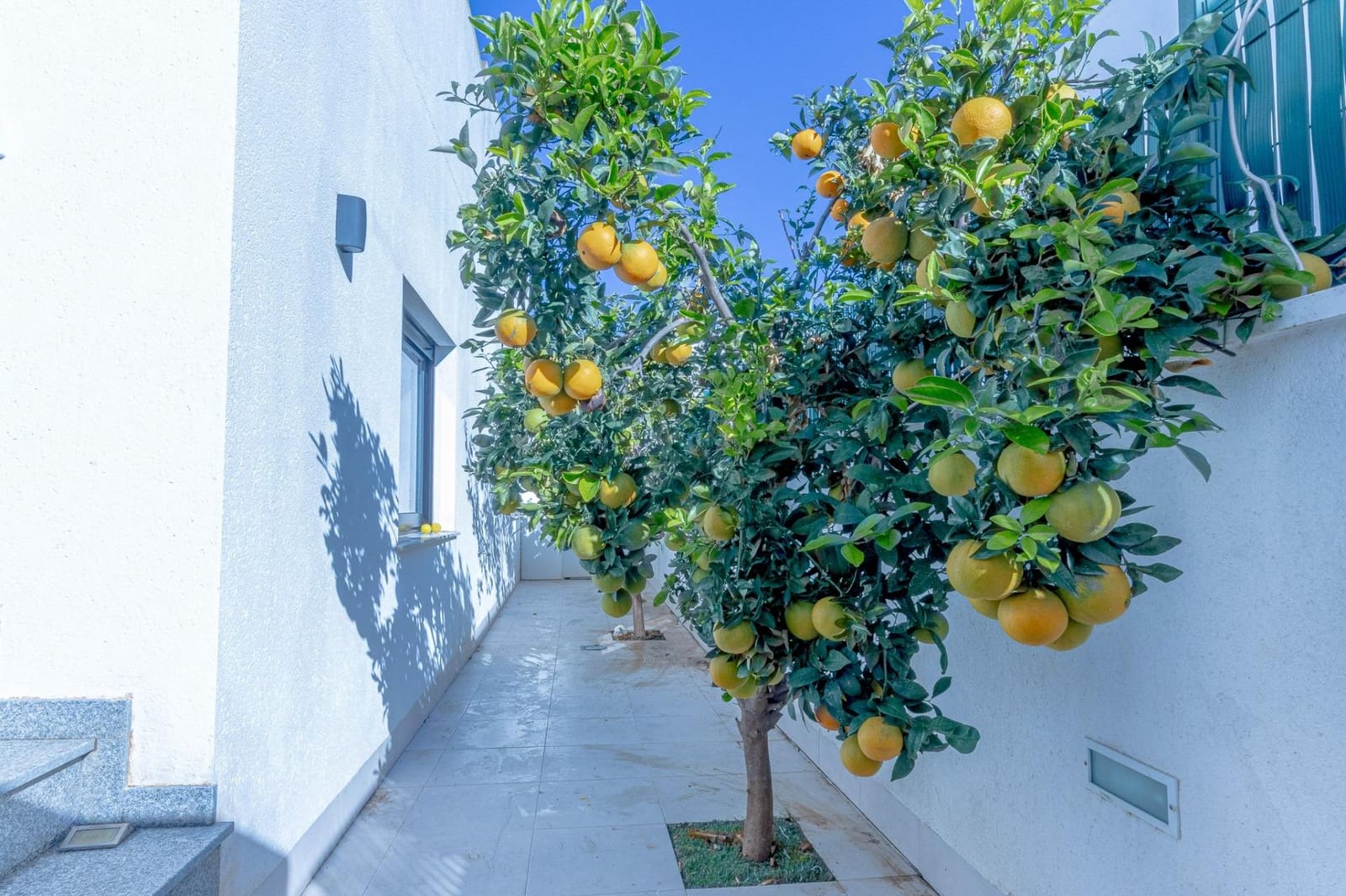 2 soverom Villa til leie i San Pedro del Pinatar med svømmebasseng - € 1 600 (Ref: 9611428)