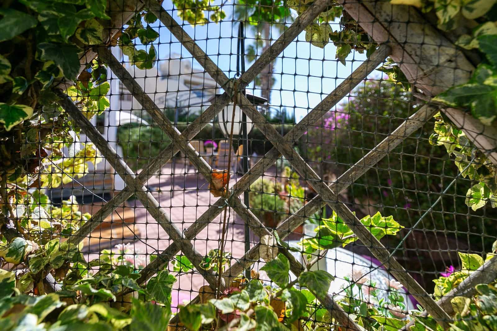 2 bedroom Apartment for sale in Playa Flamenca with pool - € 210,000 (Ref: 9787012)