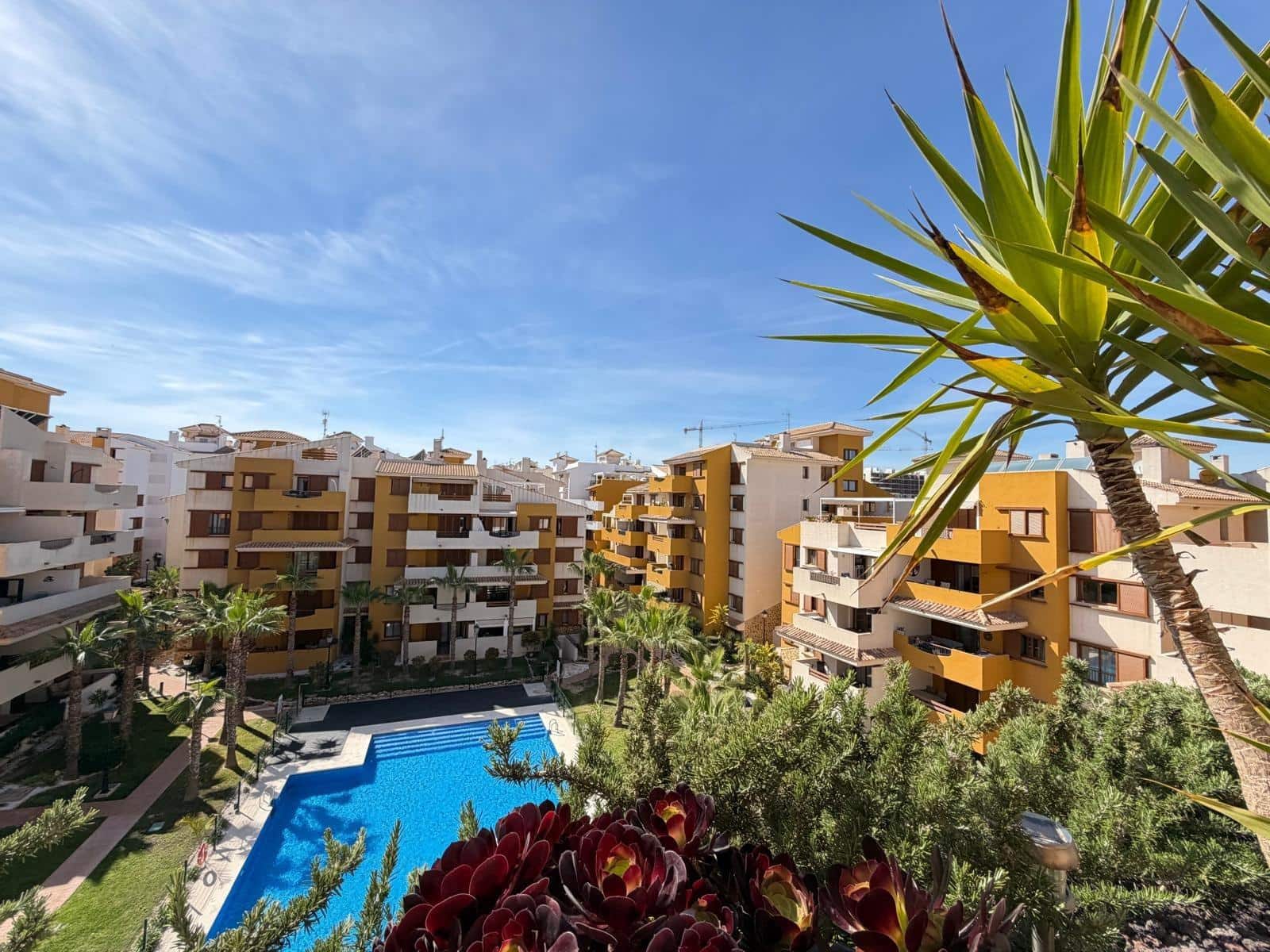 2 sovrum Takvåning till salu i Punta Prima med pool garage - 339 900 € (Ref: 9787014)