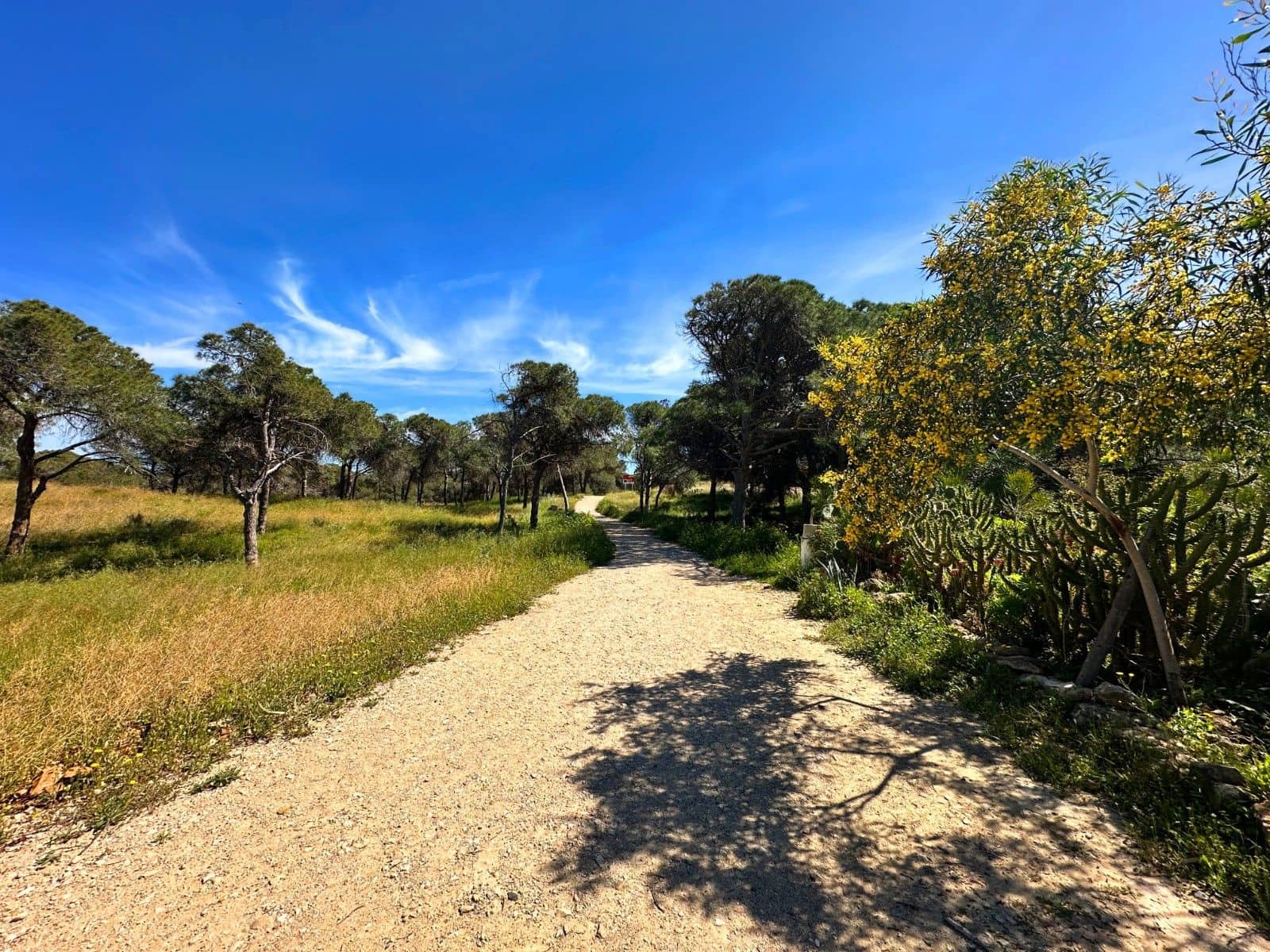 2 sovrum Radhus till salu i Guardamar del Segura - 115 000 € (Ref: 9794906)