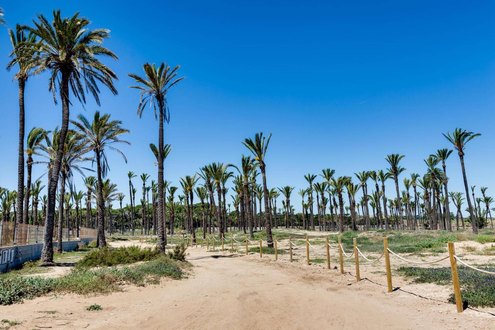 4 soverom Leilighet til salgs i Playa Flamenca med svømmebasseng garasje - € 194 969 (Ref: 9979852)