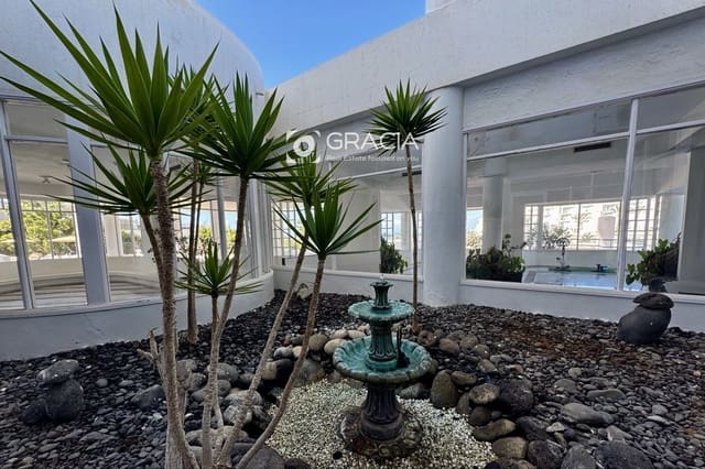 Piso de 1 habitación en Playa Paraiso, Adeje en venta con piscina - 269.000 € (Ref: 10154130)