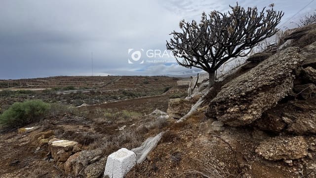 Building Plot for sale in Arico - € 135,000 (Ref: 10172368)