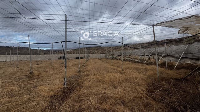 Area Edificabile in vendita in Arico - 275.000 € (Rif: 10172369)