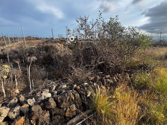 Byggetomt til salgs i Aldea Blanca (Tenerife), San Miguel de Abona - € 67 000 (Ref: 10175501)