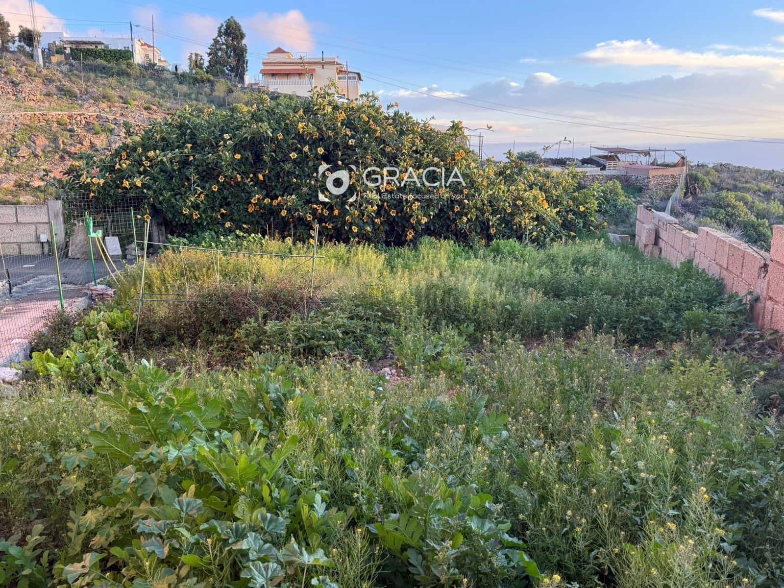 6 slaapkamer Villa te koop in Tijoco Bajo met garage - € 950.000 (Ref: 9687538)